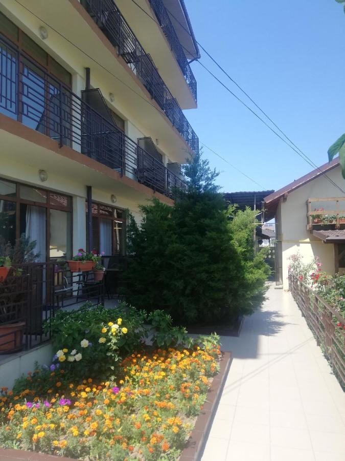 Villa Pescarus คอสติเนช ภายนอก รูปภาพ